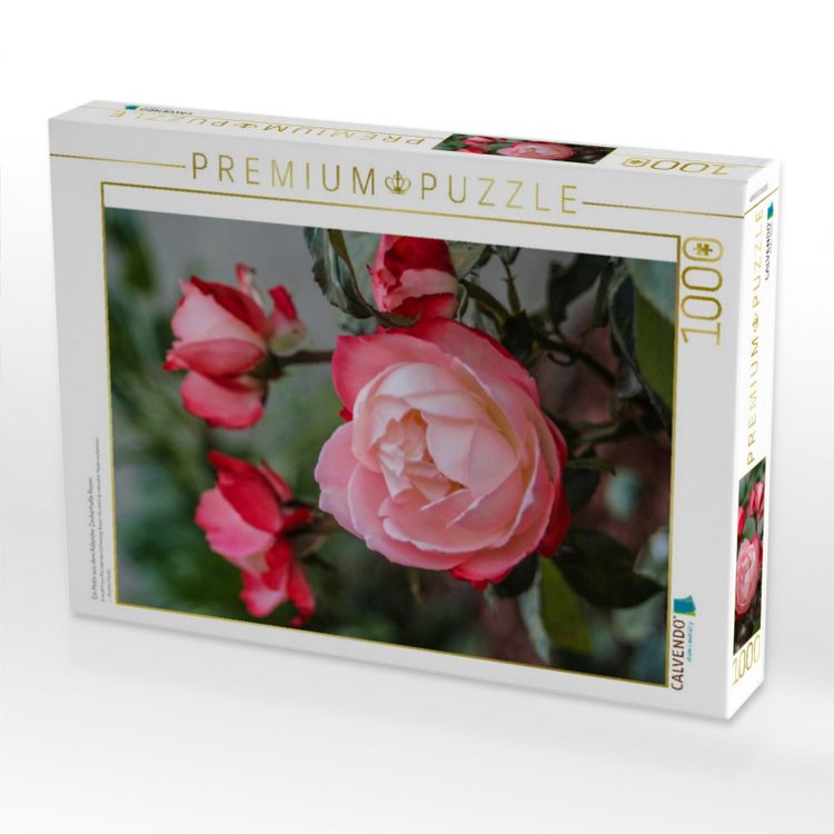 Produktbild: CALVENDO Puzzle Ein Motiv aus dem Kalender Zauberhafte Rosen | 1000 Teile Lege-Gr&ouml;&szlig;e 64x48cm Foto-Puzzle f&uuml;r gl&uuml;ckliche Stunden