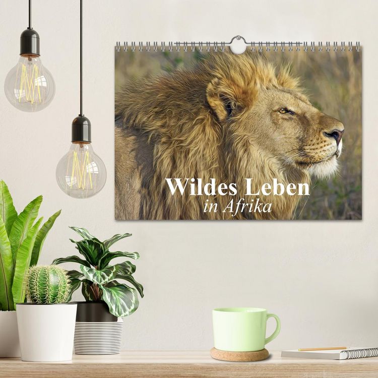 Produktbild: Wildes Leben in Afrika (Wandkalender 2026 DIN A4 quer), CALVENDO Monatskalender