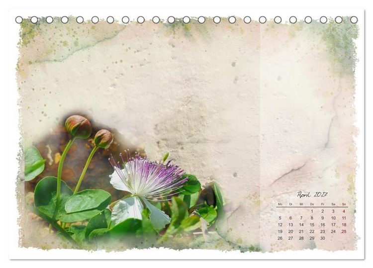 Produktbild: Natur und Farbe Fotografie trifft Aquarell (Tischkalender 2027 DIN A5 quer), CALVENDO Monatskalender
