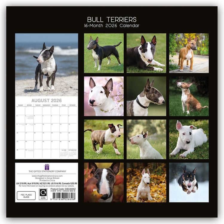 Produktbild: Bull Terrier 2026 – 16-Monatskalender