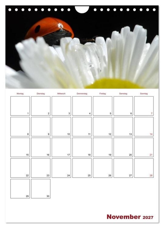 Produktbild: Marienk&auml;fergl&uuml;ck (Wandkalender 2027 DIN A4 hoch), CALVENDO Monatskalender