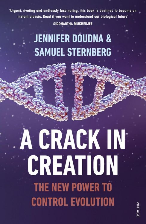 Produktbild: A Crack in Creation