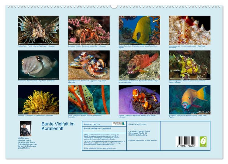Produktbild: Bunte Vielfalt im Korallenriff (hochwertiger Premium Wandkalender 2026 DIN A2 quer), Kunstdruck in Hochglanz