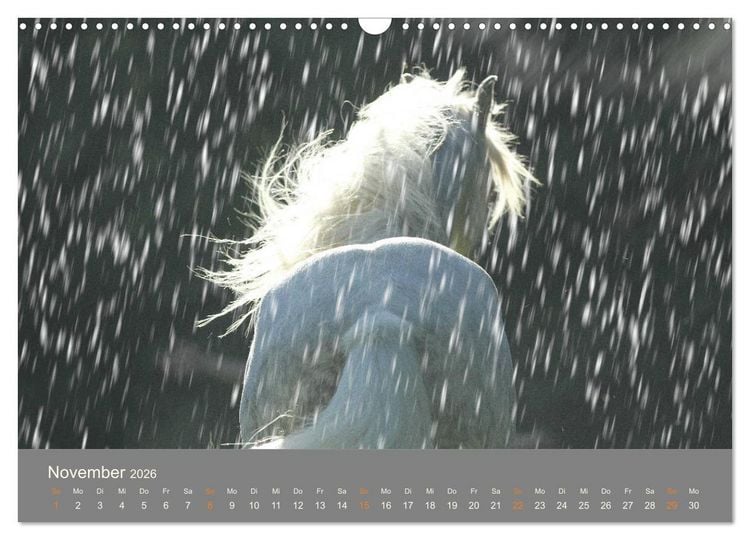 Produktbild: FANTASY Pferde Horses Caballos (Wandkalender 2026 DIN A3 quer), CALVENDO Monatskalender