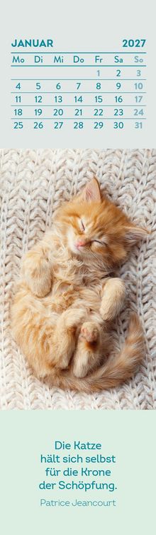 Produktbild: Lesezeichenkalender 2027: Katzenfreunde