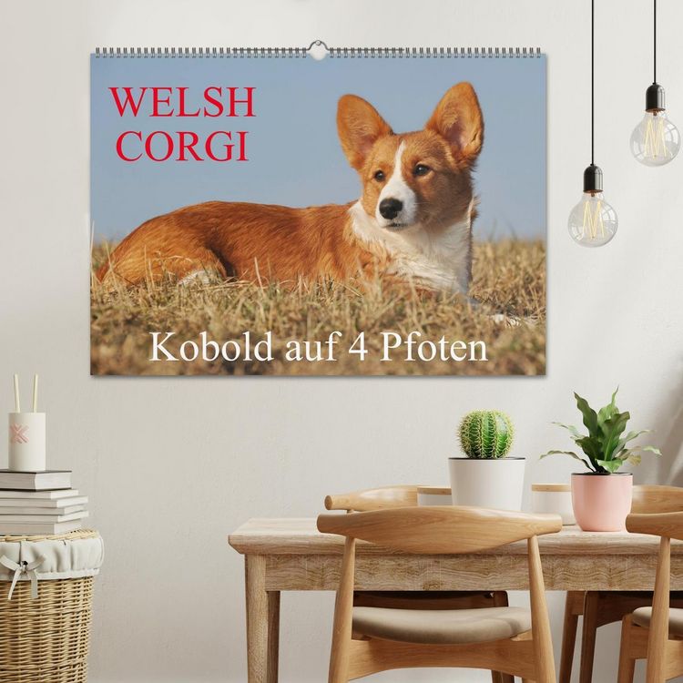 Produktbild: Welsh Corgi - Kobold auf 4 Pfoten (Wandkalender 2026 DIN A2 quer), CALVENDO Monatskalender