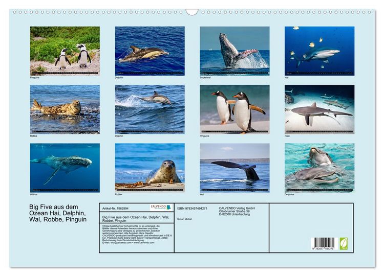 Produktbild: Big Five aus dem Ozean Hai, Delphin, Wal, Robbe, Pinguin (Wandkalender 2026 DIN A2 quer), CALVENDO Monatskalender