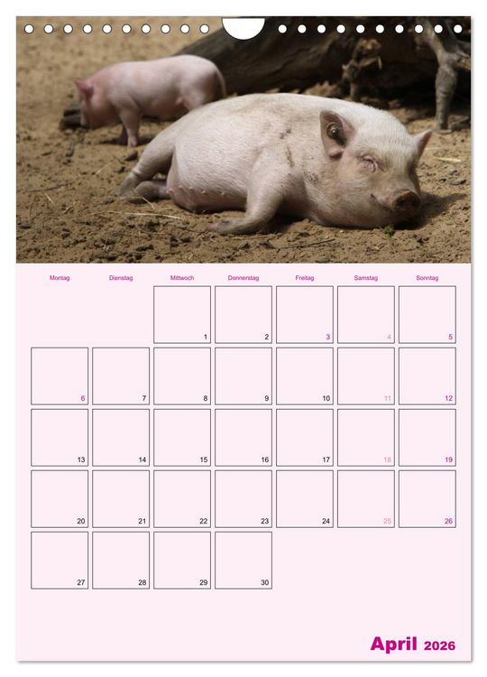 Produktbild: Schweinischer Terminplaner (Wandkalender 2026 DIN A4 hoch), CALVENDO Monatskalender