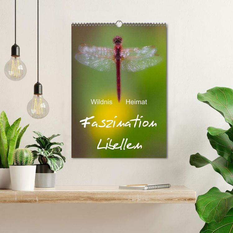 Produktbild: Faszination Libellen - Wildnis Heimat (Wandkalender 2026 DIN A3 hoch), CALVENDO Monatskalender