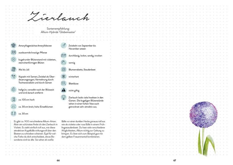 Produktbild: Mein Blumengarten &ndash; Das illustrierte Gartenbuch