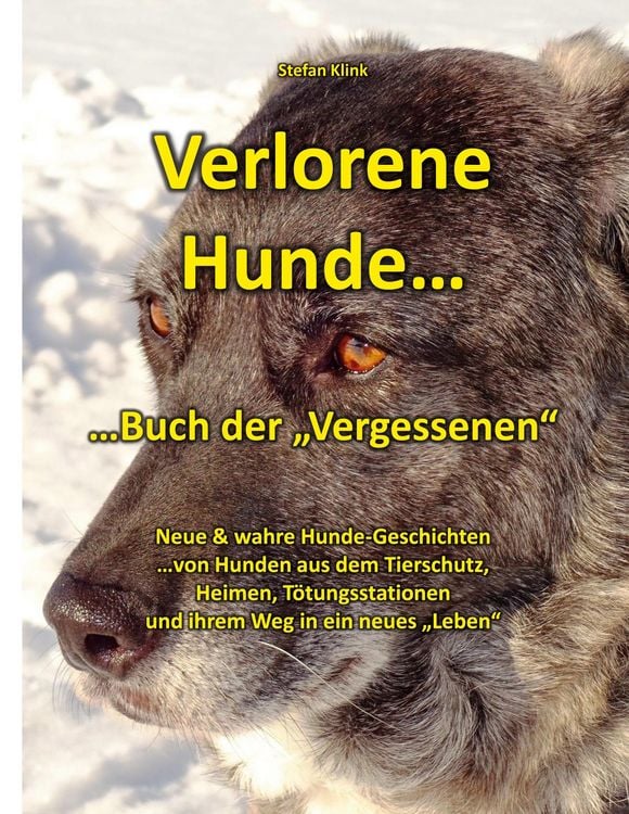 Produktbild: Verlorene Hunde