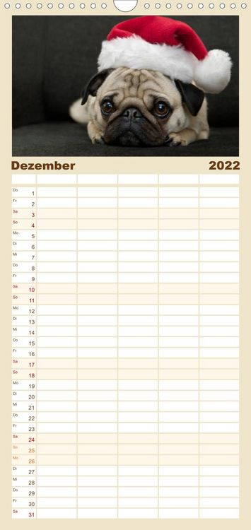 Produktbild: Mops - Familienplaner hoch (Wandkalender 2022 , 21 cm x 45 cm, hoch)