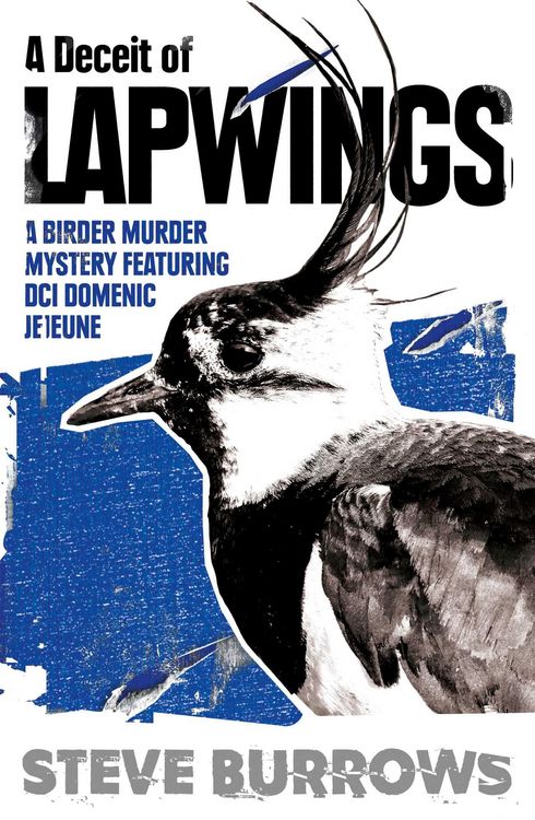 Produktbild: A Deceit of Lapwings