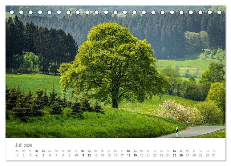 Produktbild: Wundersch&ouml;ne B&auml;ume im Sauerland (Tischkalender 2026 DIN A5 quer), CALVENDO Monatskalender