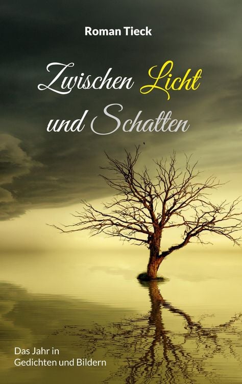 Produktbild: Zwischen Licht und Schatten