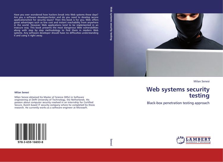Produktbild: Web systems security testing