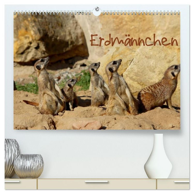 Produktbild: Erdm&auml;nnchen (hochwertiger Premium Wandkalender 2026 DIN A2 quer), Kunstdruck in Hochglanz