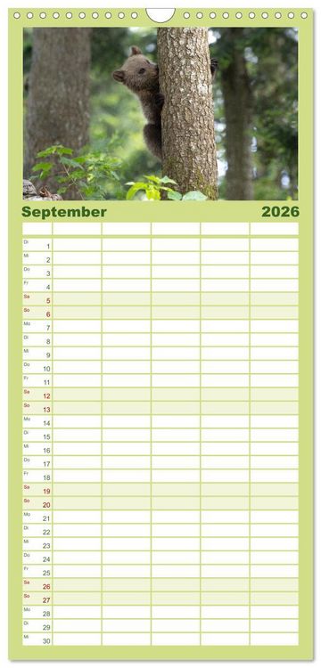 Produktbild: Familienplaner 2026 - Lautlos in den W&auml;ldern Sloweniens mit 5 Spalten (Wandkalender, 21 x 45 cm) CALVENDO