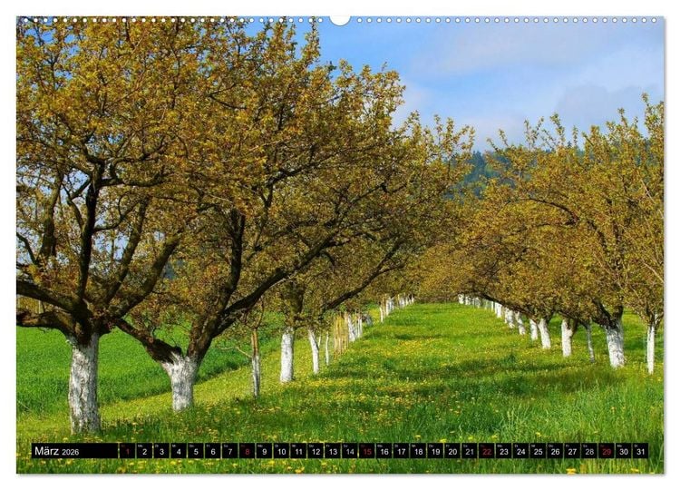 Produktbild: Die Wachau - An der Donau zwischen Melk und Krems (Wandkalender 2026 DIN A2 quer), CALVENDO Monatskalender