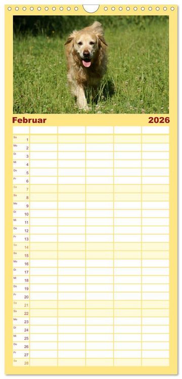 Produktbild: Familienplaner 2026 - Golden Retriever Power mit 5 Spalten (Wandkalender, 21 x 45 cm) CALVENDO