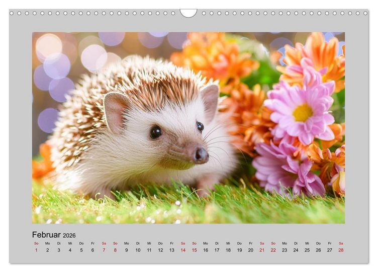 Produktbild: Mein Igel-Kalender (Wandkalender 2026 DIN A3 quer), CALVENDO Monatskalender
