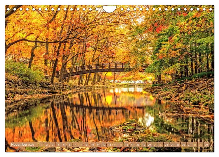Produktbild: S&uuml;dkorea: Zwischen gelbem und japanischem Meer (Wandkalender 2026 DIN A4 quer), CALVENDO Monatskalender