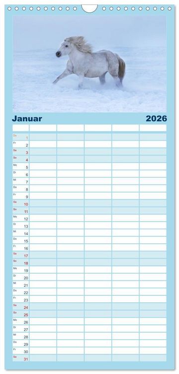 Produktbild: Familienplaner 2026 - Wei&szlig;e Pferde der Camargue in Bayern mit 5 Spalten (Wandkalender, 21 x 45 cm) CALVENDO