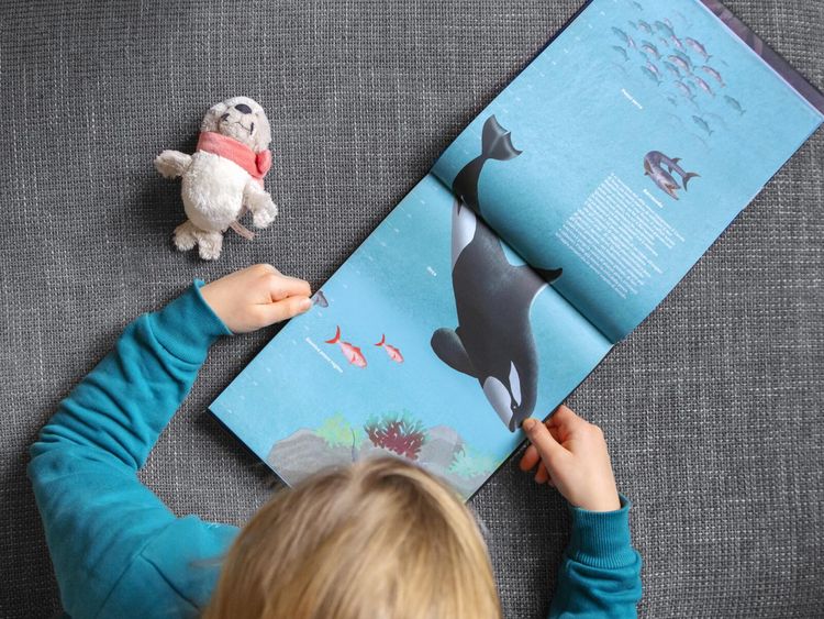 Produktbild: Hinab ins tiefe Blau