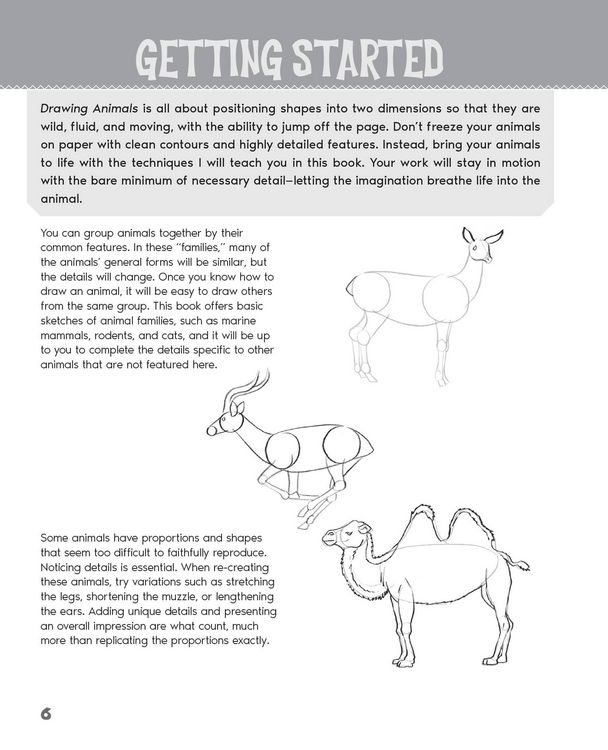 Produktbild: Drawing Animals