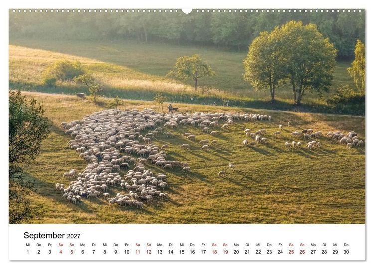 Produktbild: Taunus - Traumhafte W&auml;lder und romantische Orte (Wandkalender 2027 DIN A2 quer), CALVENDO Monatskalender