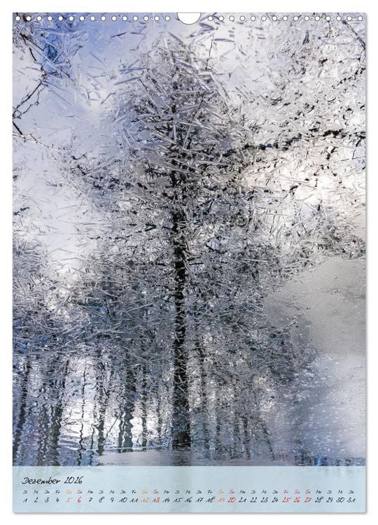 Produktbild: Wo der Wald tr&auml;umt (Wandkalender 2026 DIN A3 hoch), CALVENDO Monatskalender
