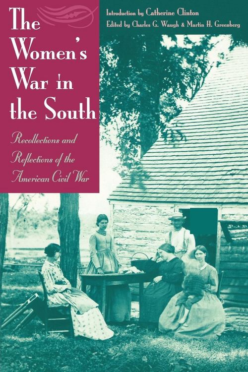 Produktbild: The Women's War In the South