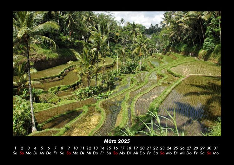 Produktbild: Palmentraum 2025 Fotokalender DIN A3