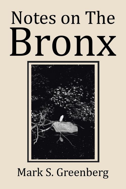 Produktbild: Notes on The Bronx