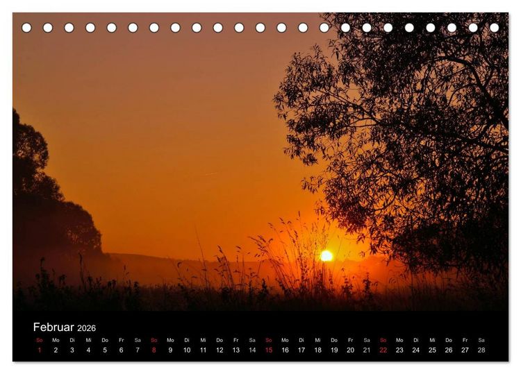 Produktbild: Faszination Wald. Waldimpressionen aus Nordhessen von Lutz Klapp (Tischkalender 2026 DIN A5 quer), CALVENDO Monatskalender