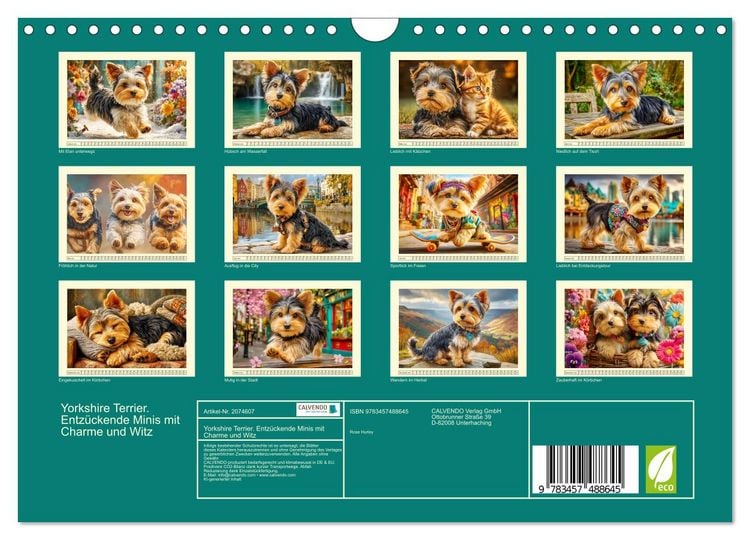 Produktbild: Yorkshire Terrier. Entz&uuml;ckende Minis mit Charme und Witz (Wandkalender 2026 DIN A4 quer), CALVENDO Monatskalender