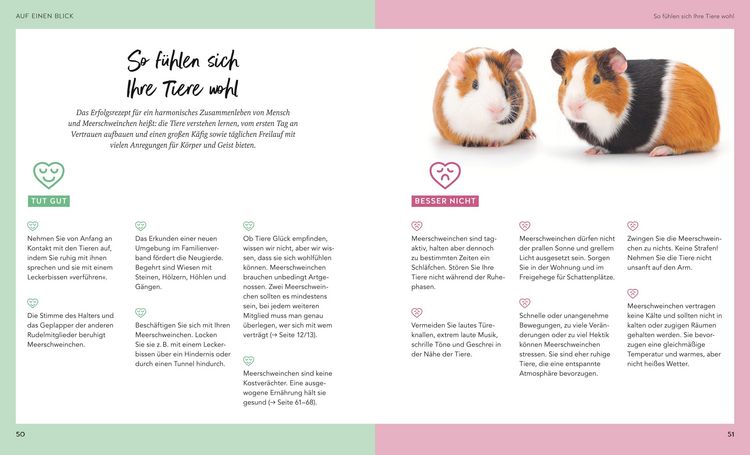 Produktbild: Meerschweinchen