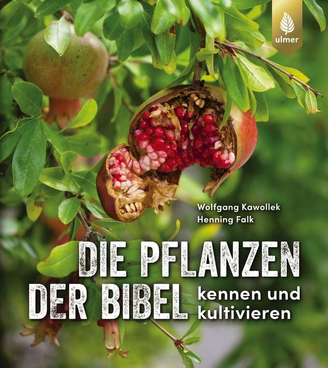 Produktbild: Die Pflanzen der Bibel