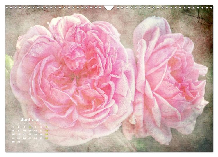 Produktbild: Rosen Romantik (Wandkalender 2026 DIN A3 quer), CALVENDO Monatskalender