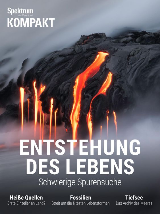 Produktbild: Spektrum Kompakt - Entstehung des Lebens