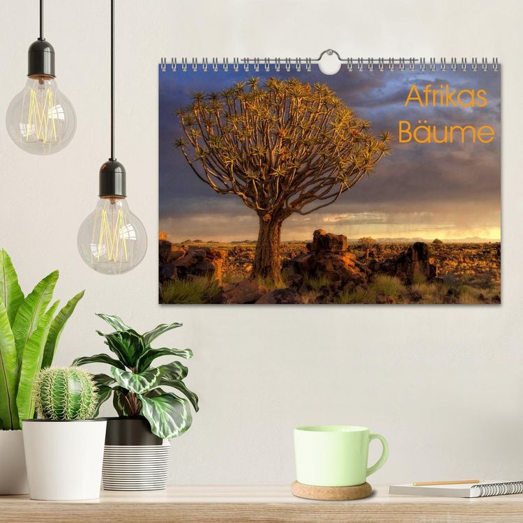 Produktbild: Afrikas B&auml;ume (Wandkalender 2026 DIN A4 quer), CALVENDO Monatskalender