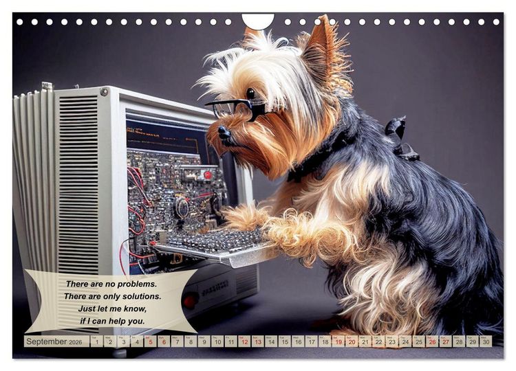 Produktbild: Great fun for Yorkshire Terrier lovers (Wall Calendar 2026 DIN A4 landscape), CALVENDO 12 Month Wall Calendar