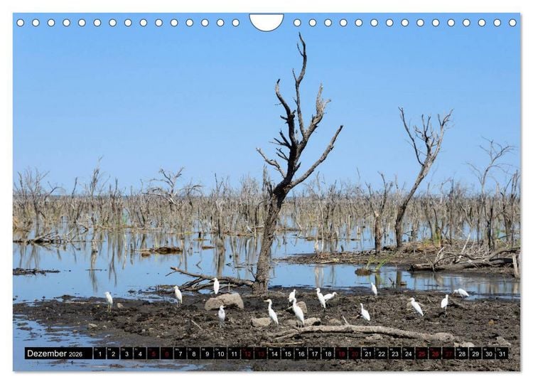 Produktbild: Faszination Botswana (Wandkalender 2026 DIN A4 quer), CALVENDO Monatskalender