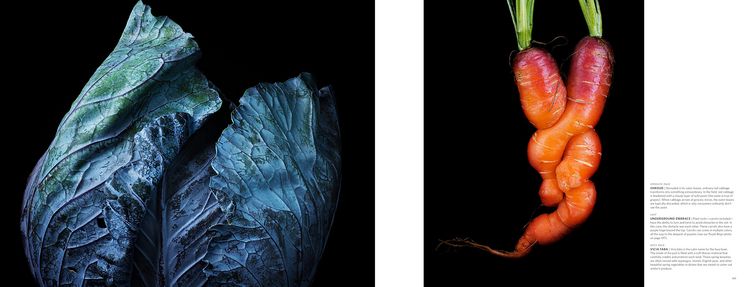 Produktbild: Food & Drink