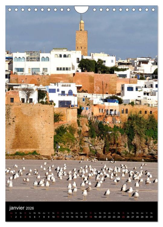 Produktbild: Collection MAROC RABAT (Calendrier mural 2026 DIN A4 horizontal), CALVENDO calendrier mensuel