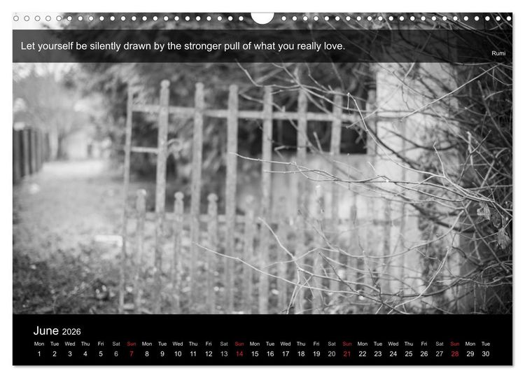 Produktbild: Through the Gate with Rumi (Wall Calendar 2026 DIN A3 landscape), CALVENDO 12 Month Wall Calendar