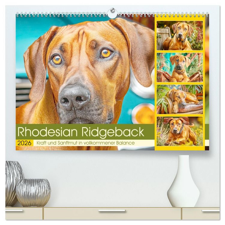 Produktbild: Rhodesian Ridgeback. Kraft und Sanftmut in vollkommener Balance (hochwertiger Premium Wandkalender 2026 DIN A2 quer), Kunstdruck in Hochglanz