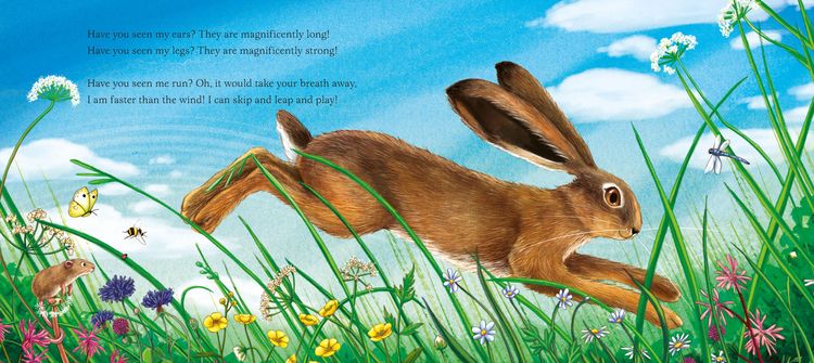 Produktbild: I am Hattie the Hare
