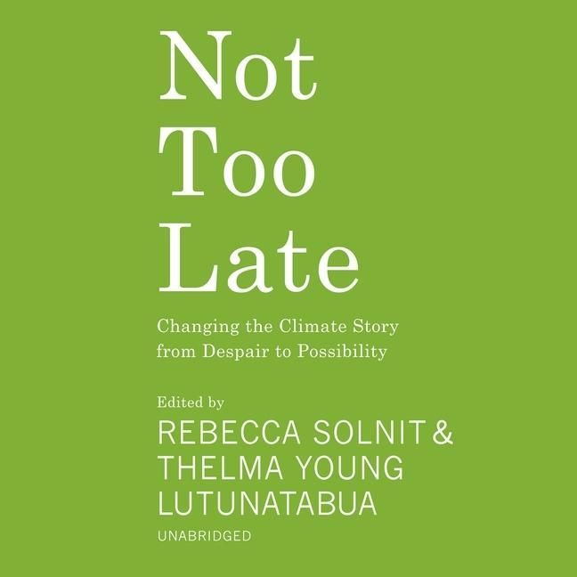 Produktbild: Not Too Late