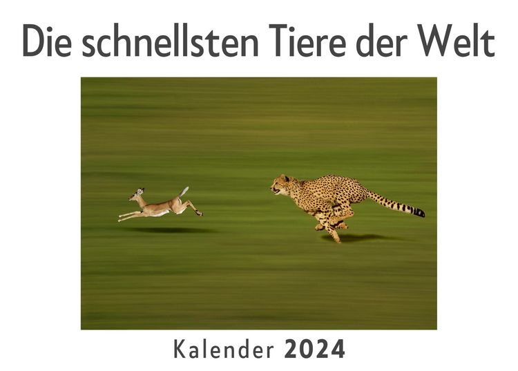 Produktbild: Die schnellsten Tiere der Welt (Wandkalender 2024, Kalender DIN A4 quer, Monatskalender im Querformat mit Kalendarium, Das perfekte Geschenk)